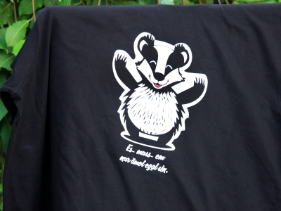 "Es muss em nur ämol egal sin" - Herren Shirt.3